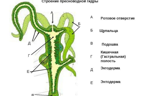 Кракен сайт krknwebs