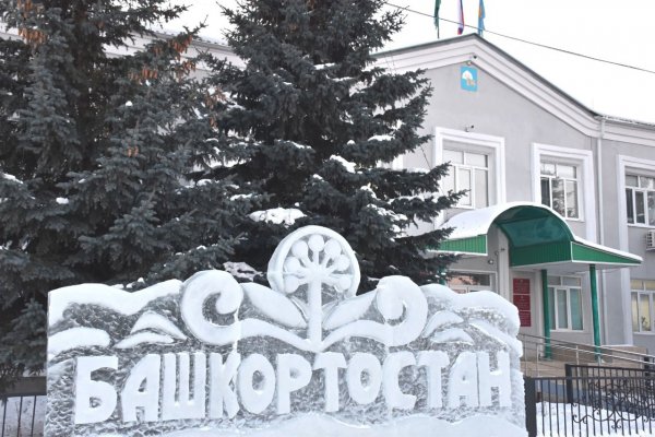 Замена гидры