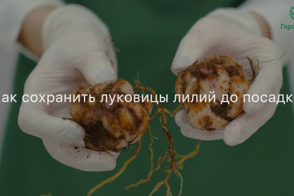 Кракен тор