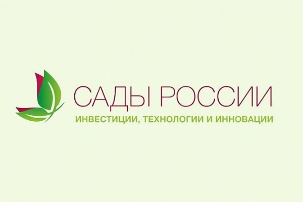Кракен ссылка