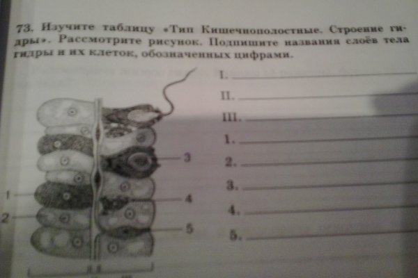 Пользователь не найден кракен даркнет