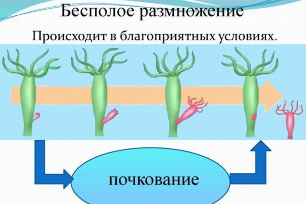 Как вывести деньги с кракена маркетплейс