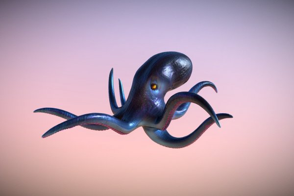 Kraken что это за магазин
