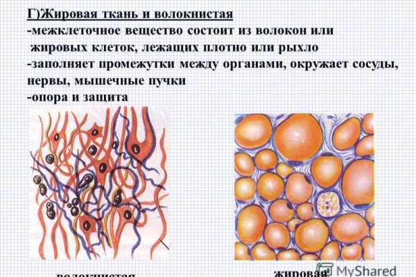 Ссылка на кракен оригинал